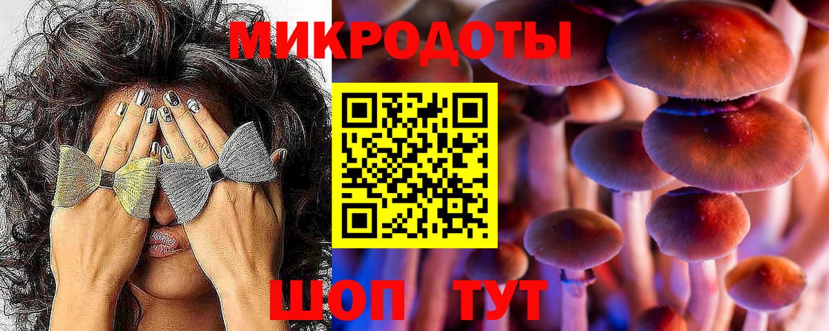 Галлюциногенные грибы MAGIC MUSHROOMS Сланцы
