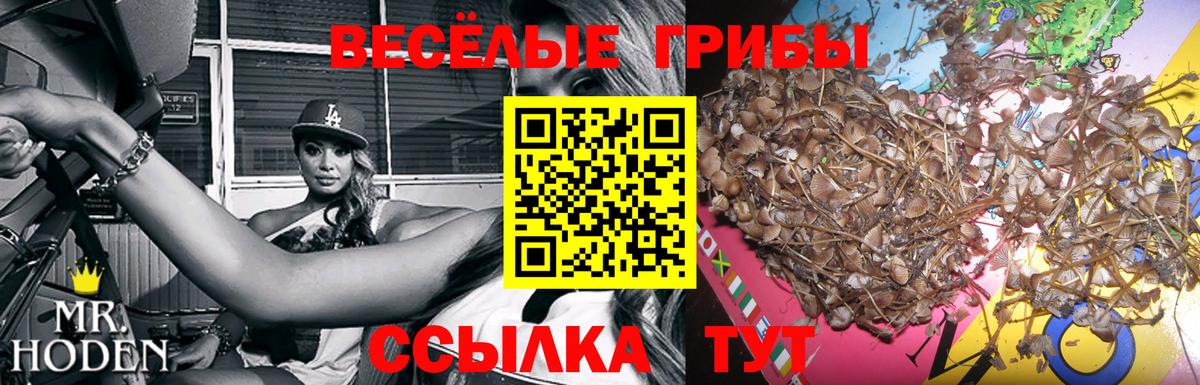 Галлюциногенные грибы прущие грибы  Вход с VPN  Псилоцибиновые грибы мухоморы  сколько стоит  Сланцы 
